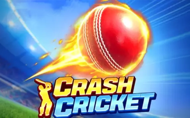 Play Crash Cricket and win at MCW website.