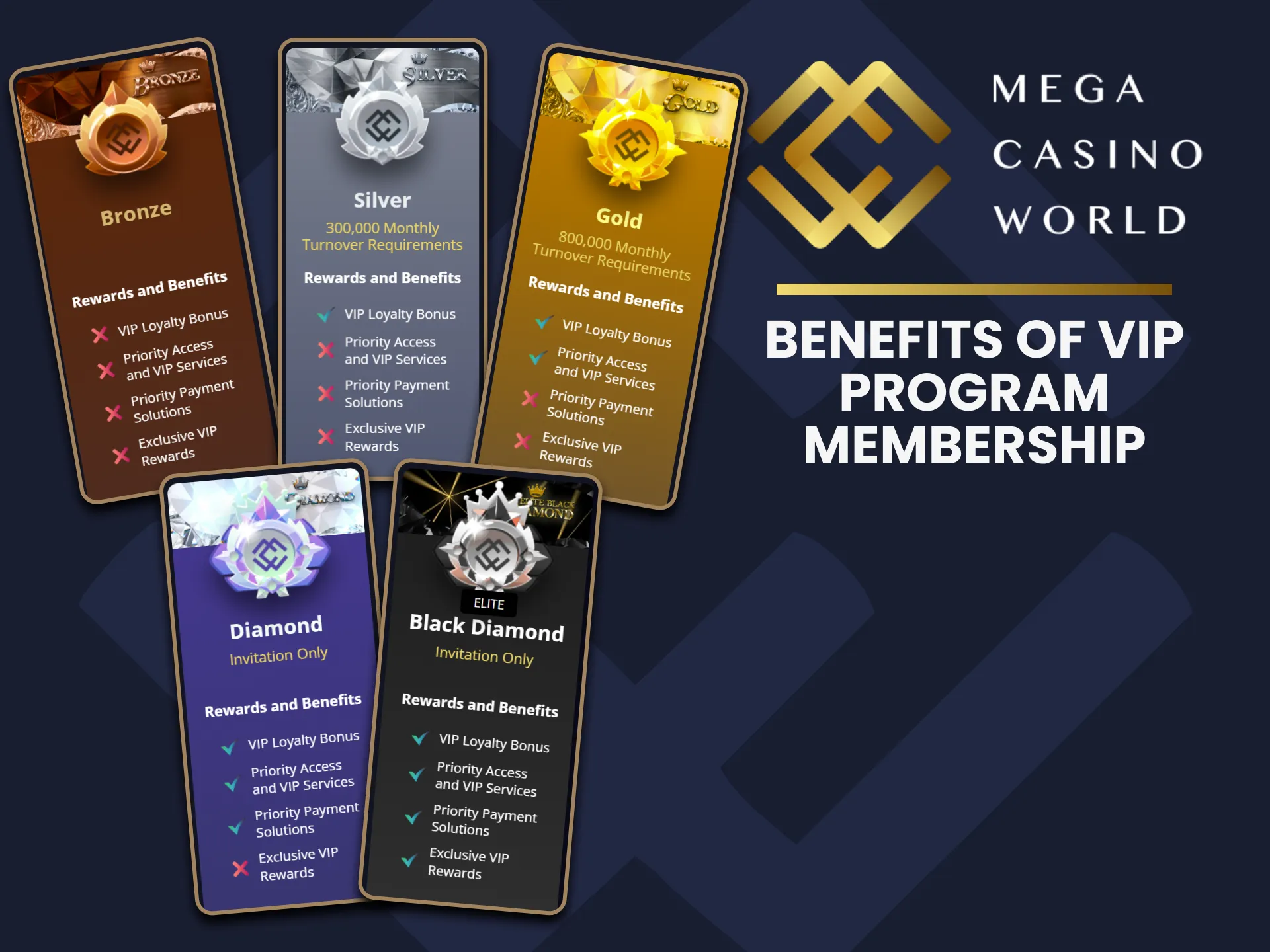 The advantages of becoming a member of the VIP program at MCW.