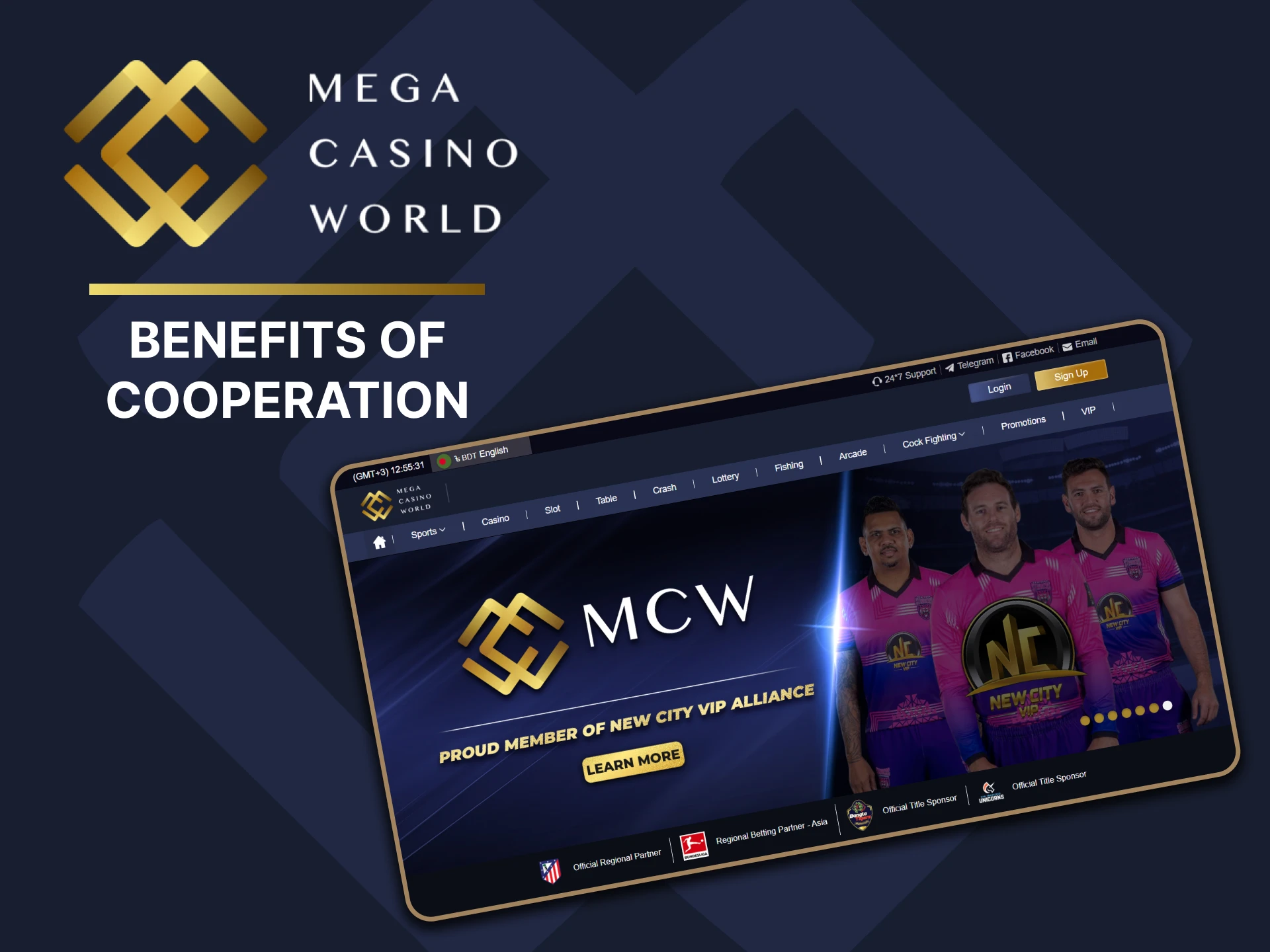 Learn about the benefits of cooperation with Mega Casino World.